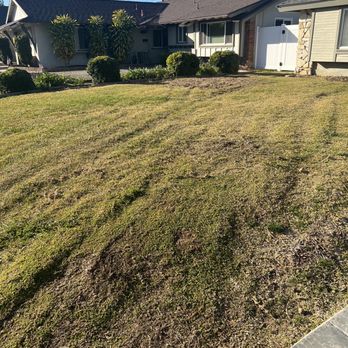 Franks Landscape Design - More photos of damage - Landscaping Near Me