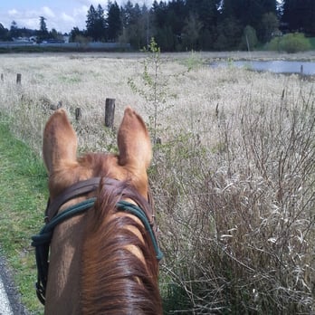 Springwater Corridor - Wetlands just west of 122nd, it was alive with birds. - Parks Near Me - Portland, Oregon