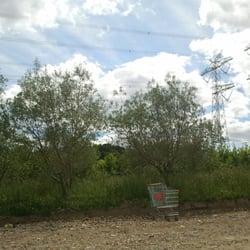 Bushy Park Cafe