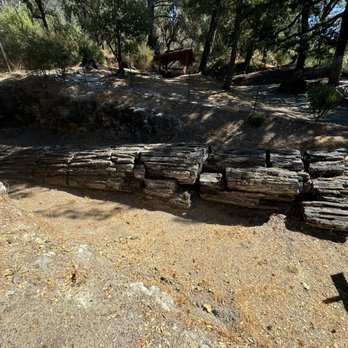 The Petrified Forest - Parks Near Me - Calistoga, California The Petrified Forest - Parks Near Me - Calistoga, California