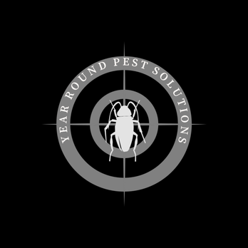 Year Round Pest Solutions - Pest Control Near Me Year Round Pest Solutions - Pest Control Near Me