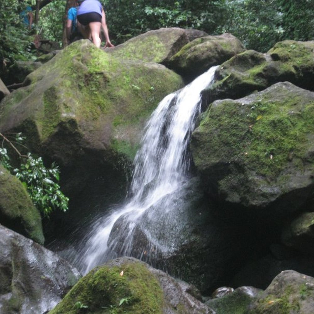 Lulumahu Falls - Hiking Near Me - Honolulu, Hawaii
