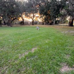 Beck Ranch Park Dog Park - Dog park area