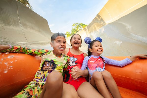 Disney's Typhoon Lagoon Water Park by null