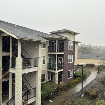 Terrene at the Grove - Building 1 - Apartments Near Me - Wilsonville, Oregon Terrene at the Grove - Building 1 - Apartments Near Me - Wilsonville, Oregon