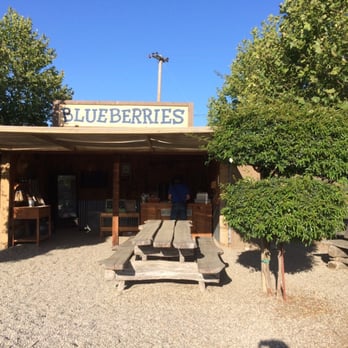 Santa Barbara Blueberries - Fruits & Veggies Near Me - Gaviota, California Santa Barbara Blueberries - Fruits & Veggies Near Me - Gaviota, California