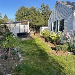 Plants are trimmed and cleaned up Plants are trimmed and cleaned up