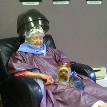 Marsha's Salon at Faceworks - Her friendly hypoallogenic teacup Yorky named Tyrone will be happy to nestle in your lap while you are there ! - Hair Salons Near Me - Brentwood, New Hampshire Marsha's Salon at Faceworks - Her friendly hypoallogenic teacup Yorky named Tyrone will be happy to nestle in your lap while you are there ! - Hair Salons Near Me - Brentwood, New Hampshire