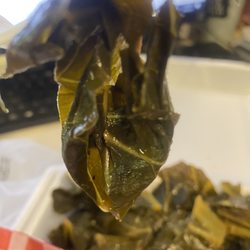 They are not from a can.. look at that fresh leaf!!!