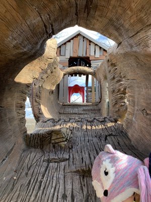 WALKER MILL REGIONAL PARK - Updated January 2025 - 126 Photos - 8840