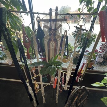 VineHouse Lounge - Great gift options - Nurseries & Gardening Near Me - Tulsa, Oklahoma VineHouse Lounge - Great gift options - Nurseries & Gardening Near Me - Tulsa, Oklahoma