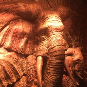 Shaka Zulu - African Near Me - London, XGL