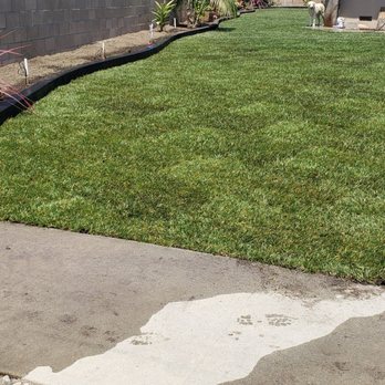 California Sod Center - Nurseries & Gardening Near Me - Chino, California California Sod Center - Nurseries & Gardening Near Me - Chino, California