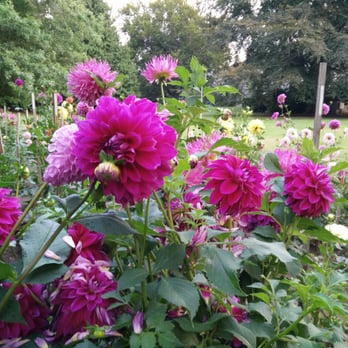 Volunteer Park - Parks Near Me - Seattle, Washington