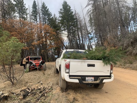 THURSTON TOYOTA - Updated July 2025 - 55 Reviews - 2800 N State St ...