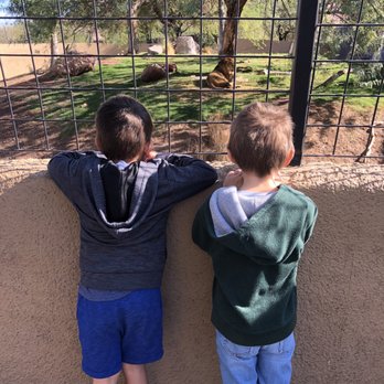 Phoenix Zoo - Zoos Near Me - Phoenix, Arizona Phoenix Zoo - Zoos Near Me - Phoenix, Arizona