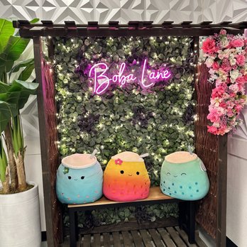 Boba Lane - Interior - Bubble Tea Near Me - Rocklin, California Boba Lane - Interior - Bubble Tea Near Me - Rocklin, California