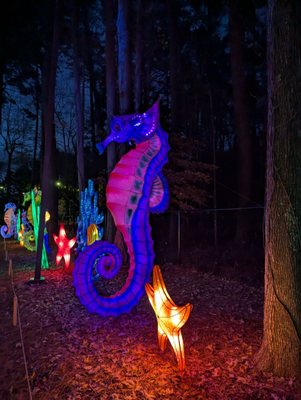 Koka Booth Amphitheatre by null