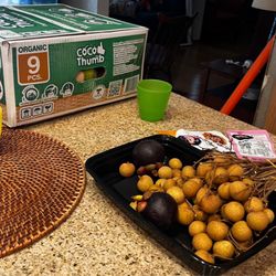 June Produce Food Wholesale Company - Favs