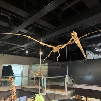 Melbourne Museum - Museums Near Me - Melbourne, VIC Melbourne Museum - Museums Near Me - Melbourne, VIC