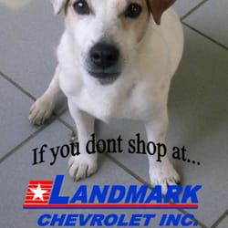 Landmark Chevrolet Inc - Jack, our resident dog