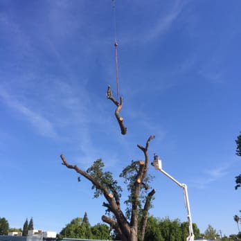 Haman Landscape and Tree Service - No Job is too big for our crews. - Landscaping Near Me - Sacramento, California Haman Landscape and Tree Service - No Job is too big for our crews. - Landscaping Near Me - Sacramento, California