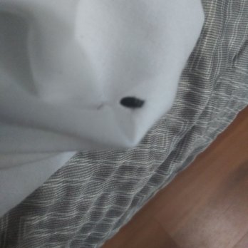 Motel 6 - Elizabeth - Bedbug intruding. - Hotels Near Me - Elizabeth, New Jersey Motel 6 - Elizabeth - Bedbug intruding. - Hotels Near Me - Elizabeth, New Jersey