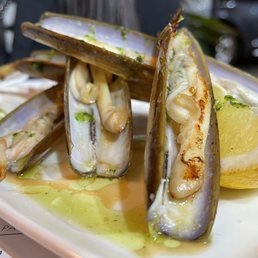 Razor clams. Razor clams.