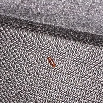 Radisson Hotel Phoenix Airport - BED BUGS!!! - Hotels Near Me - Phoenix, Arizona