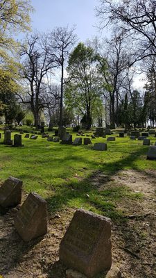 Forest Hill Cemetery by null