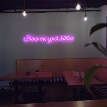 NEKO: A Cat Cafe - Decor - Themed Cafes Near Me - Seattle, Washington NEKO: A Cat Cafe - Decor - Themed Cafes Near Me - Seattle, Washington