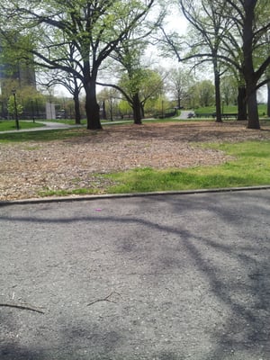 Ciccarone Park by null