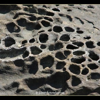 Benicia State Recreation Area - beautiful stones with holes - Parks Near Me - Benicia, California Benicia State Recreation Area - beautiful stones with holes - Parks Near Me - Benicia, California