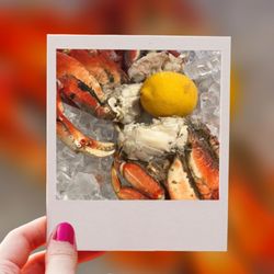 Mudbugs - At the Loop - Dungeness crabs fresh or steamed
