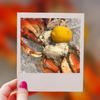 Mudbugs - At the Loop gift card