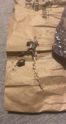 El Jefe's Taqueria - Symphony by null