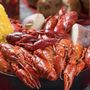 Photo of Master Crab