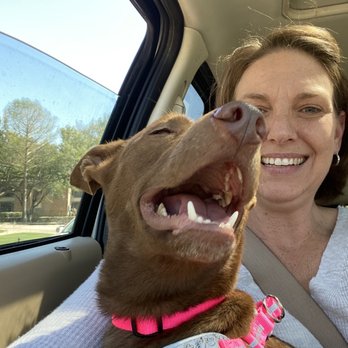 PLANO ANIMAL SERVICES - Updated December 2025 - 78 Photos & 88 Reviews