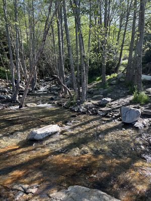North Etiwanda Preserve by null