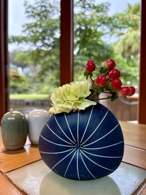 Sensei by Nobu by null