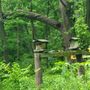 Photo of Walnut Woods State Park
