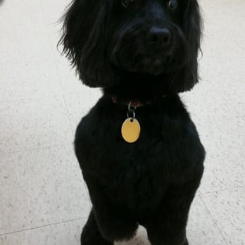 The Beauty Bark - Pet Groomers Near Me - Denver, Colorado The Beauty Bark - Pet Groomers Near Me - Denver, Colorado