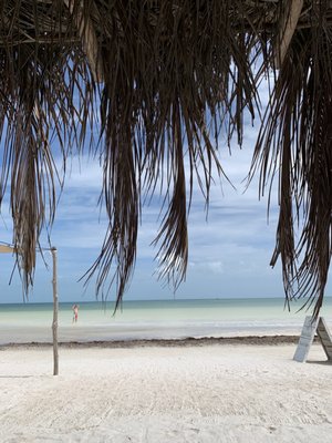 Hotel Punta Caliza by null