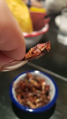 Cultura Comida y Bebida by null