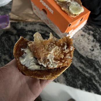 Popeyes Louisiana Kitchen - No explanation needed.. - Fast Food Near Me - Hudson, Florida