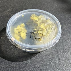 D&G Deli