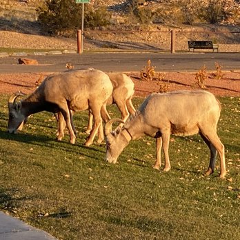 Out West Adventure Tours - Tours Near Me
