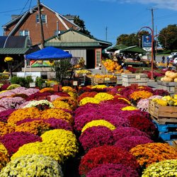 Baugher's Fruit Market