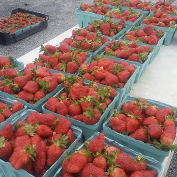 Murphy Orchard - Farmers Market Near Me - Marionville, Missouri Murphy Orchard - Farmers Market Near Me - Marionville, Missouri