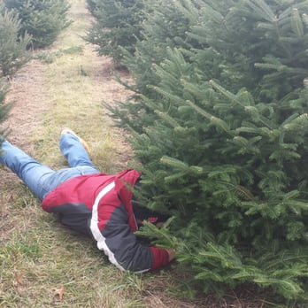 Summers Christmas Tree Farm - Trimming our first tree at Summers. - Christmas Trees Near Me - Middleton, Wisconsin Summers Christmas Tree Farm - Trimming our first tree at Summers. - Christmas Trees Near Me - Middleton, Wisconsin